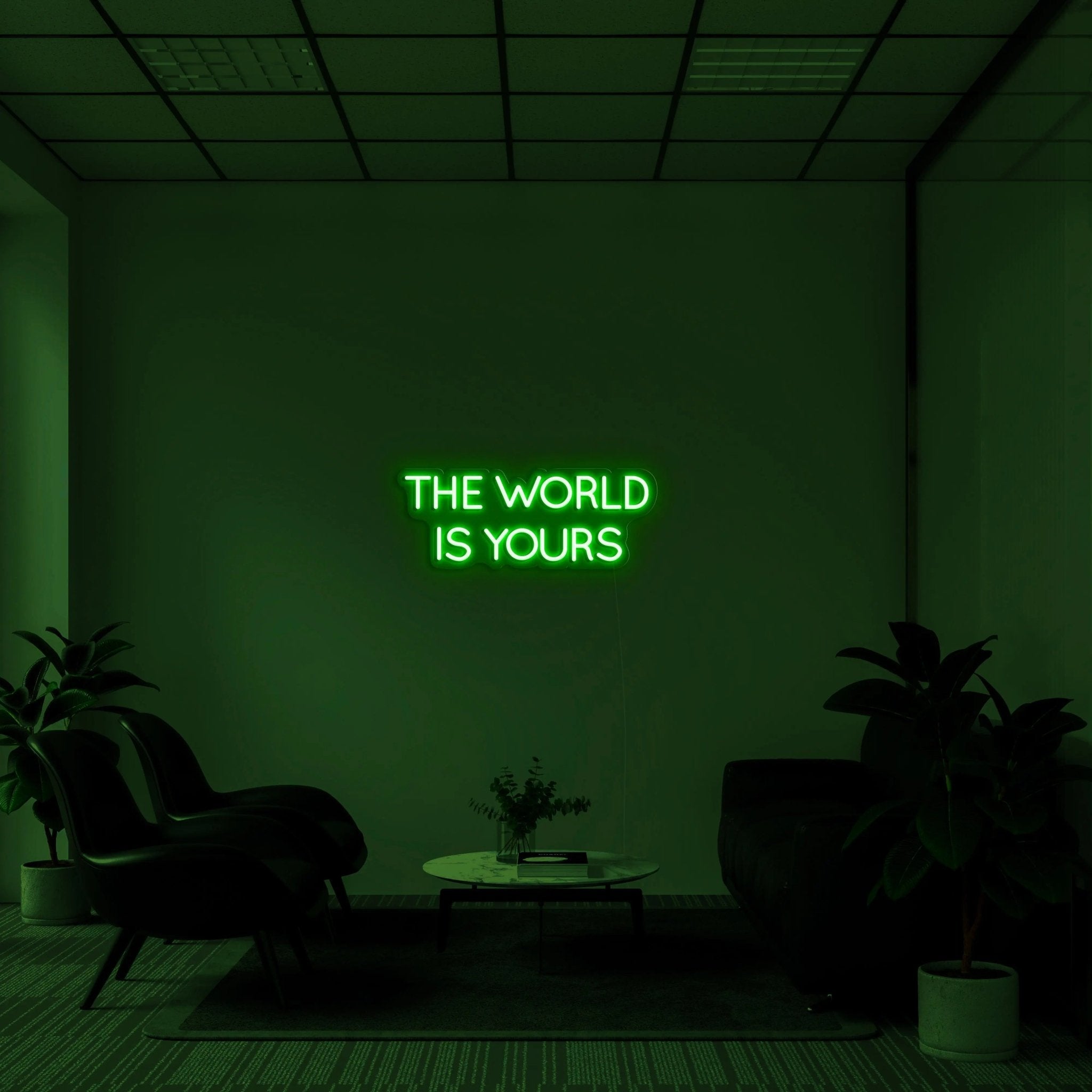 'THE WORLD IS YOURS' LED Neon Sign - neonaffair