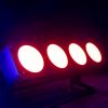 EUROLITE LED PMB-4 COB QCL 30W Bar - neonaffair