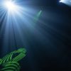 EUROLITE LED TMH-S90 Moving-Head Spot - neonaffair