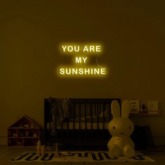 'You are my sunshine' LED Neon Sign - neonaffair