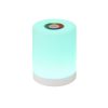 EUROLITE AKKU Table Light RGB - neonaffair