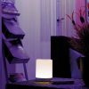 EUROLITE AKKU Table Light RGB - neonaffair