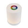 EUROLITE AKKU Table Light RGB - neonaffair