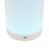 EUROLITE AKKU Table Light RGB - neonaffair
