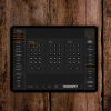 EUROLITE freeDMX AP Wi-Fi Interface - neonaffair