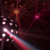 EUROLITE LED B-40 HCL Beam Effect - neonaffair