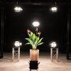 EUROLITE LED CBB-2 WW/CW fair light - neonaffair