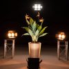EUROLITE LED CBB-2 WW/CW fair light - neonaffair