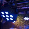 EUROLITE LED SLS-7 HCL Floor - neonaffair