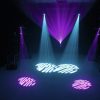 EUROLITE LED TSL-150 Scan COB - neonaffair