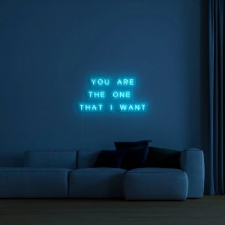 'You are the one that I want' LED Neon Sign - neonaffair