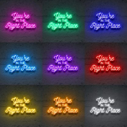 'You're In The Right Place' Neon Sign - neonaffair