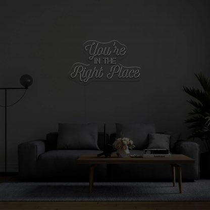 'You're In The Right Place' Neon Sign - neonaffair